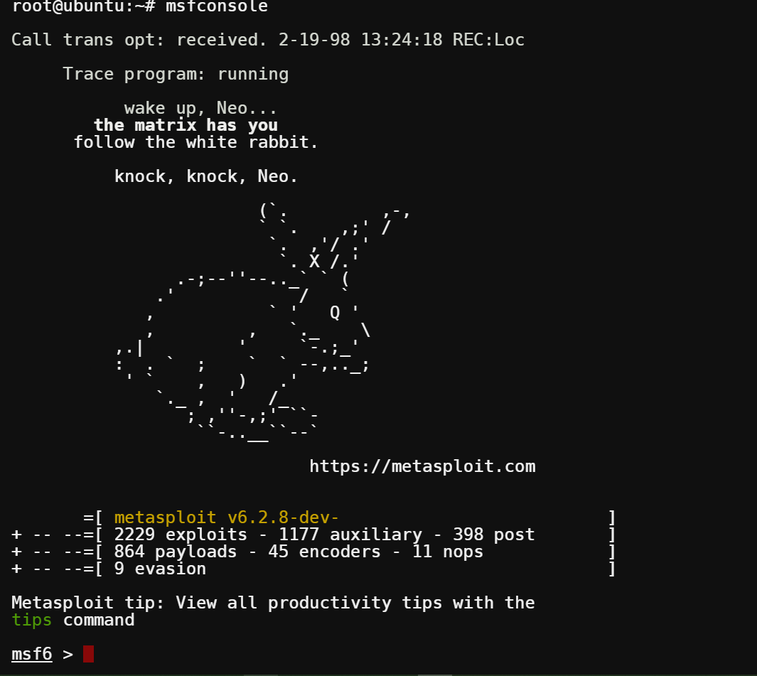 Accessing the Metasploit console