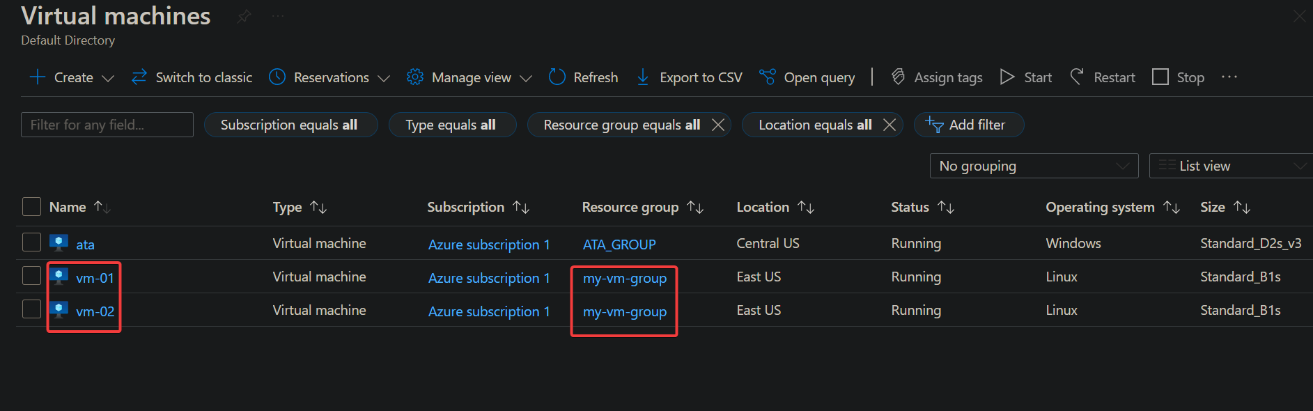 Verifying vm-01 and vm-02 are under the same resource group (my-vm-group)