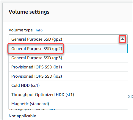 Select the General Purpose SSD (gp2) volume type