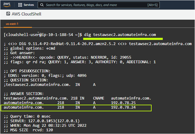 Dig command to verify the IP address and A record