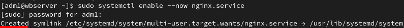 Starting the NGINX service