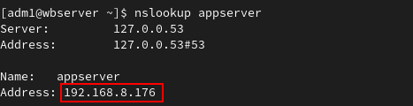Displaying DNS resolution for appserver