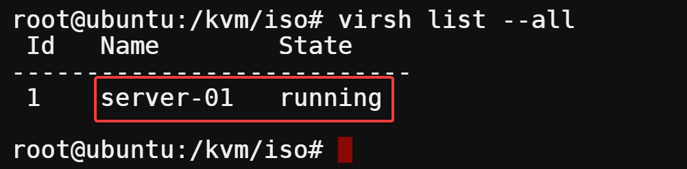 Listing all running VMs