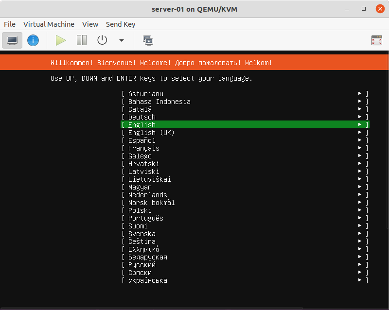 Viewing the installer boot menu for Ubuntu in Virtual Machine Manager