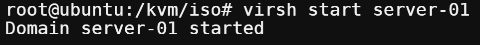 Starting an inactive domain (VM)