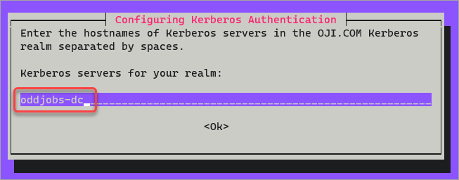 Type the Kerberos server hostname