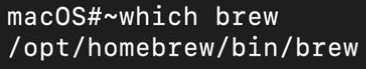 Printing out the full path of the brew executable