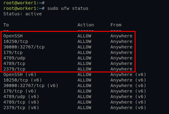 Viewing the UFW firewall status on Worker Nodes