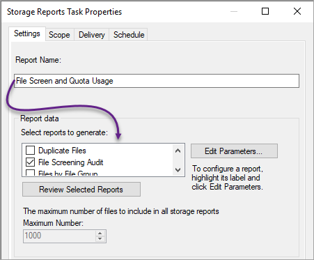 Naming the storage reports task