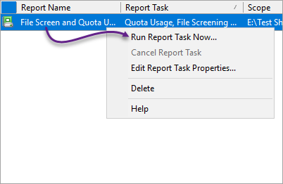 Running the report task on demand