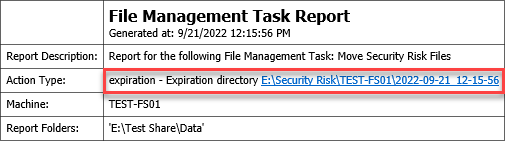 The File Management Task Report