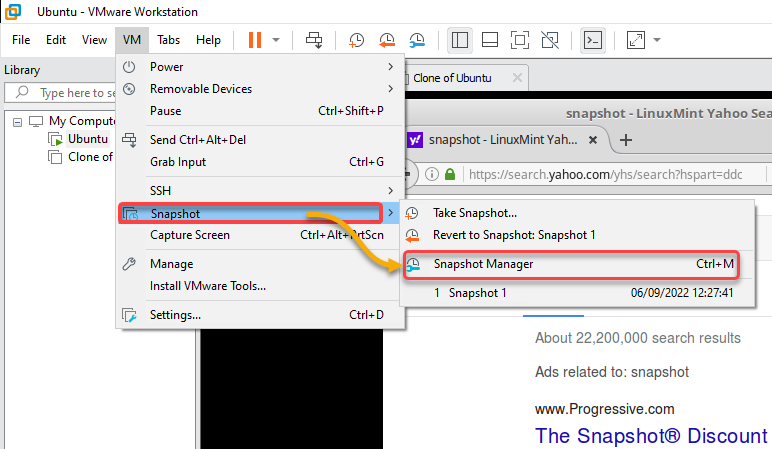 Accessing the Snapshot Manager