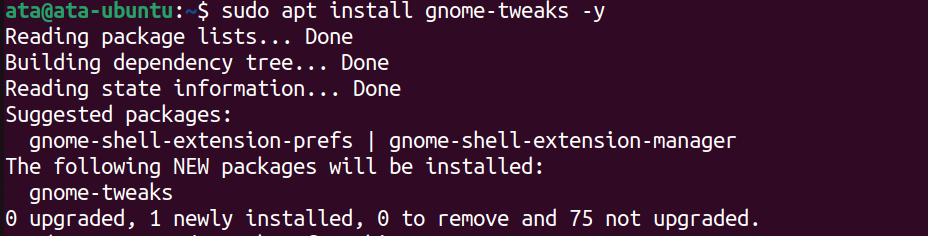 Installing the Gnome Tweak Tools