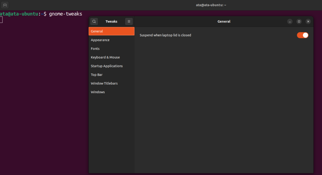 Tweaktools How To Install and Use Gnome Tweak Tools