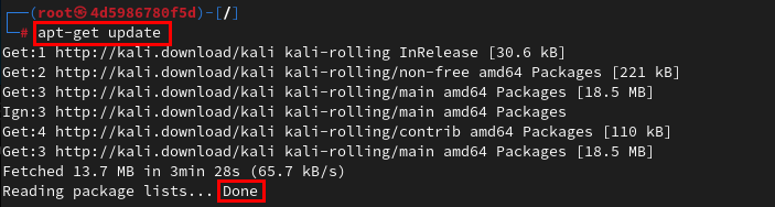 Updating the Kali Linux container