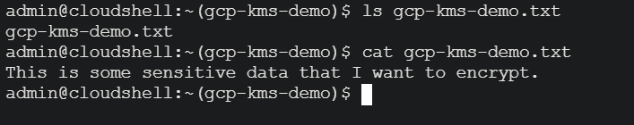 Listing the text file and verifying the data