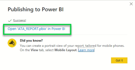 Opening the Power BI browser