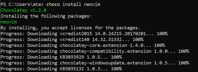 Installing neovim