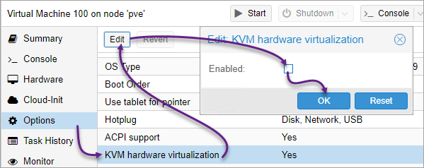 Resolving the KVM virtualization error