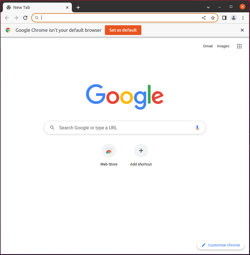 Launching Google Chrome via terminal