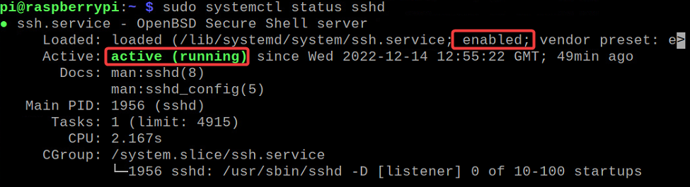 Checking if the SSH daemon is installed