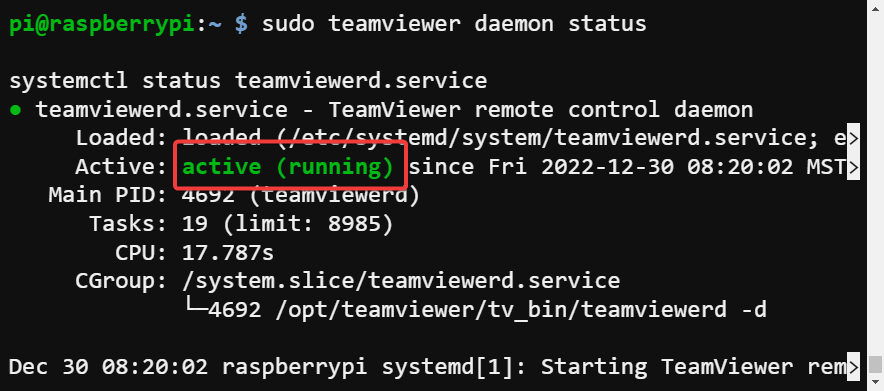 Checking the status of the TeamViewer service