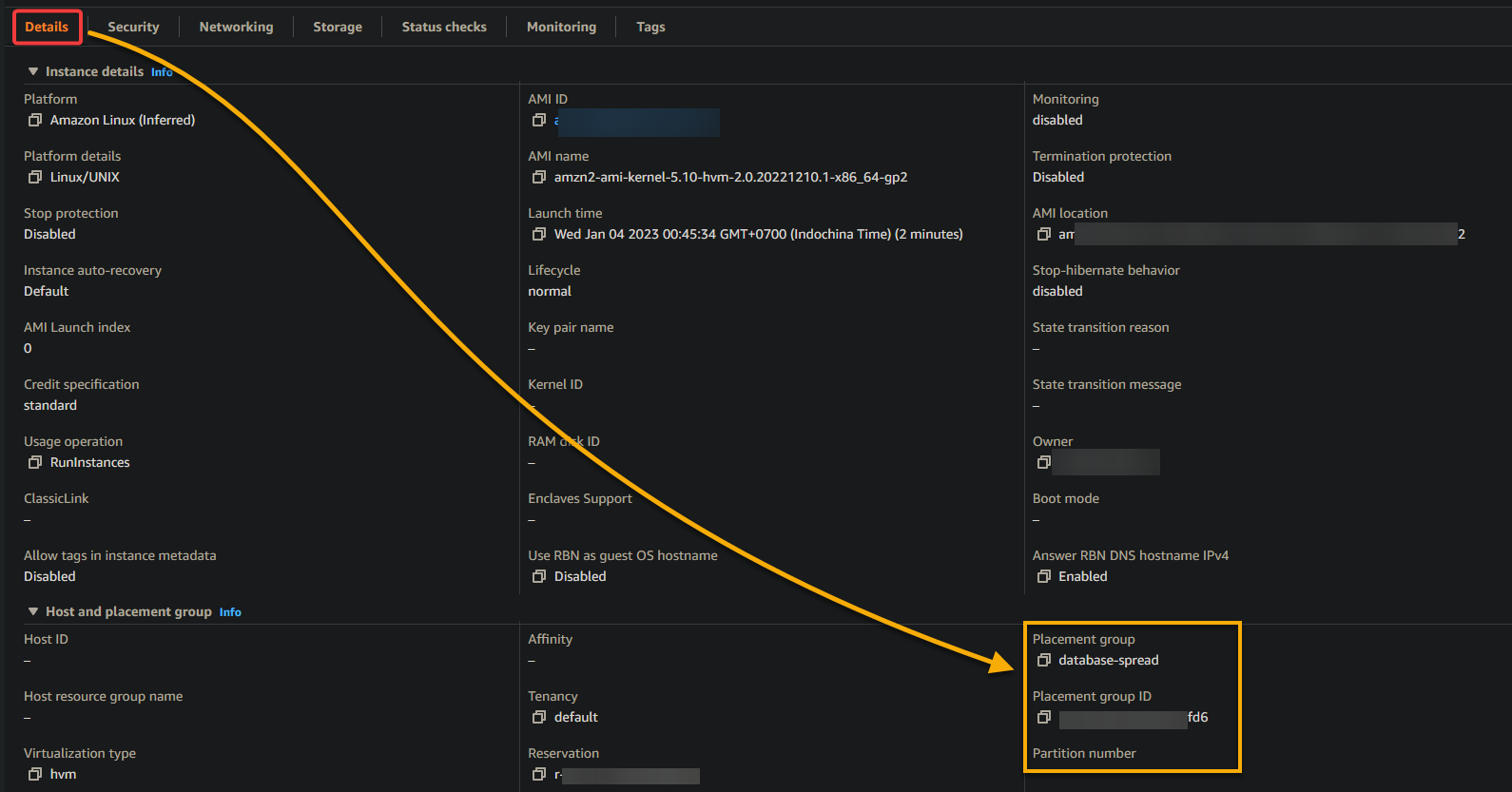 Viewing the newly-launched instance’s details