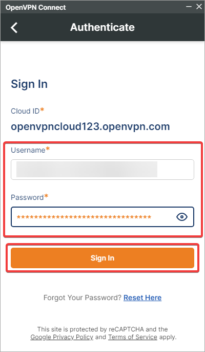 Authenticating the OpenVPN cloud connection
