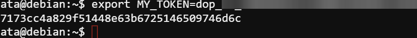 Exporting the token to an environment variable