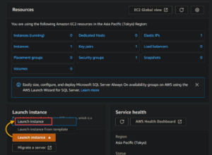 How to Host A Website on AWS EC2