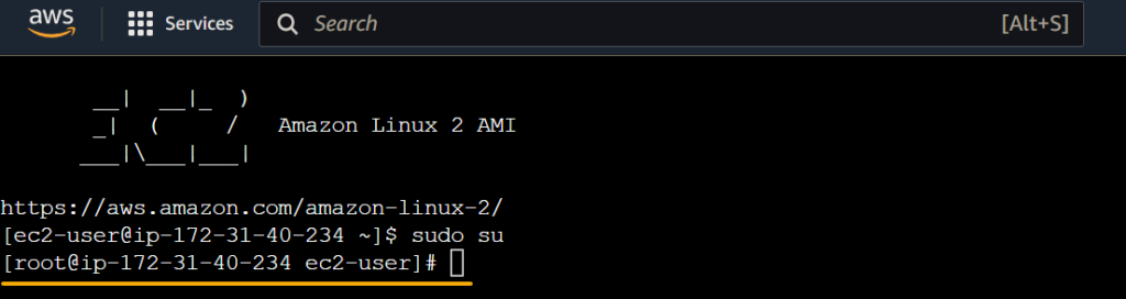 How to Host A Website on AWS EC2