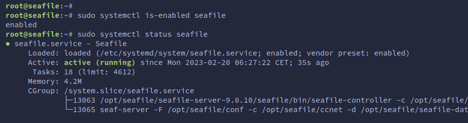 Verifying the Seafile service status