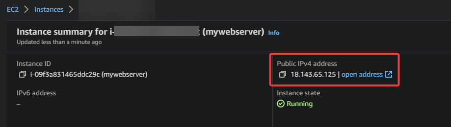 Copying the EC2 instance’s public IPv4 address 