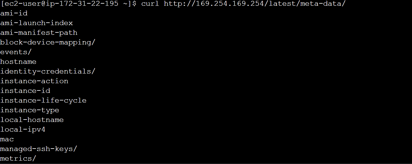 Retrieving EC2 instance metadata
