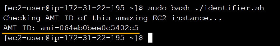 Retrieving an instance’s AMI ID metadata via script