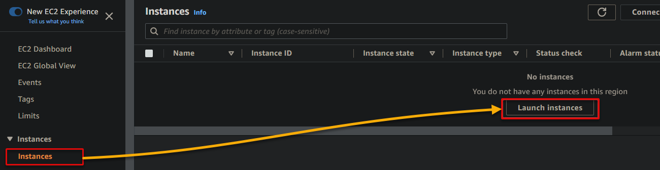 Initiating launching an EC2 instance