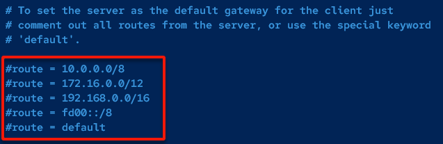 Disabling the default route gateway
