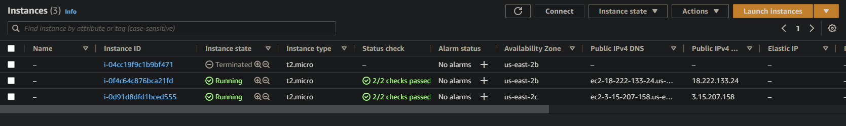 Verifying the newly-launched instance replacing the failed one