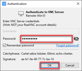 Authenticating connection to the VNC Server