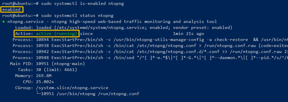 Checking the ntopng service status