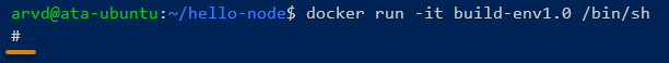 Running a new container with the build-env1.0 Docker image