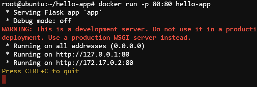 Running a Docker container