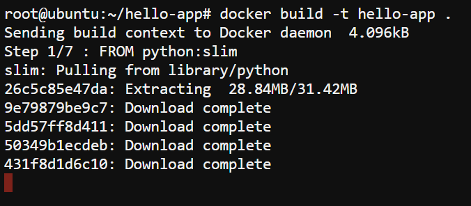 Building the Docker image