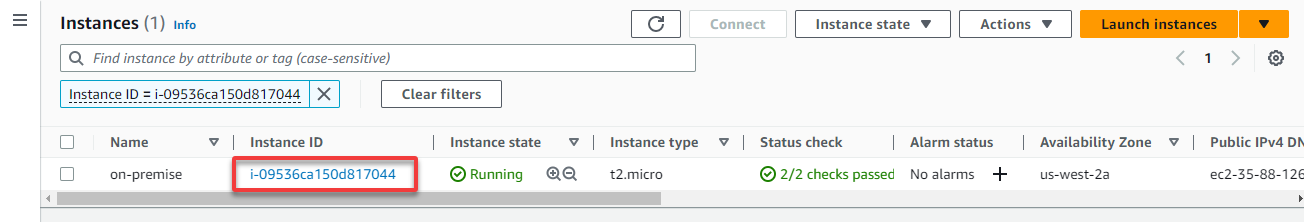 Verifying the on-premises EC2 instance