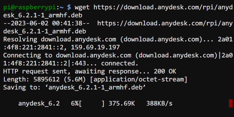 How to Guide to Remote Desktop Raspberry Pi with AnyDesk