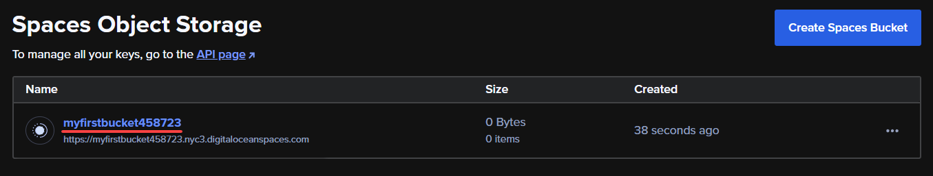 Accessing the newly-created Spaces bucket
