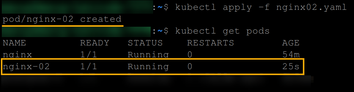 Creating and viewing the nginx02 pod