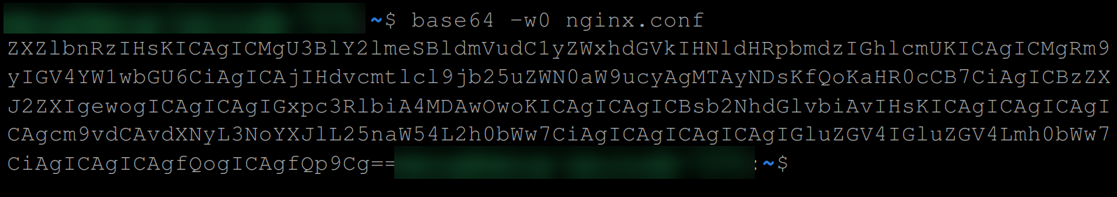 Converting the contents of the nginx.conf file to base64 encoded value