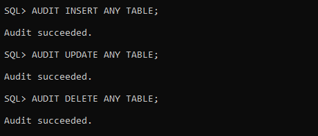 Auditing all executed INSERT, UPDATE, DELETE statements