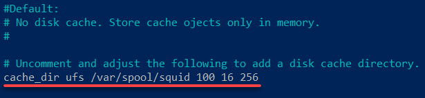 Setting up Squid cache to local disk